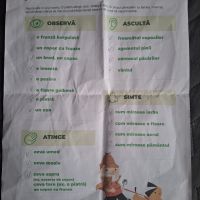 Se încarcă