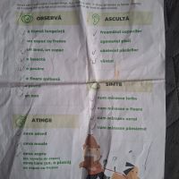 Se încarcă