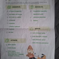 Se încarcă