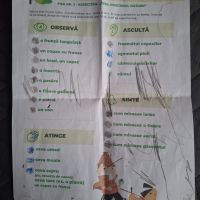 Se încarcă
