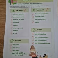 Se încarcă