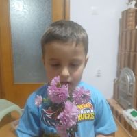 Se încarcă