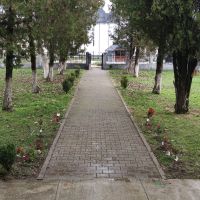 Se încarcă