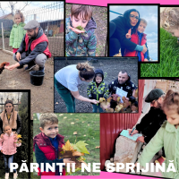 Se încarcă